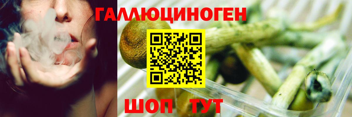 Ачинск  Псилоцибиновые грибы Cubensis  Вход с VPN 